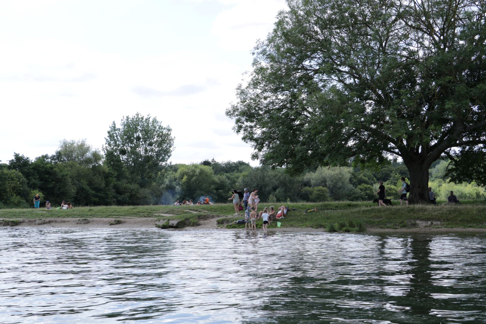 Some famileis out by the river paddling